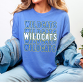 Durant Wildcats Stacked Graphic T Shirt