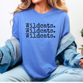 Person wearing a blue tee with 'Wildcats. Wildcats. Wildcats.' text.