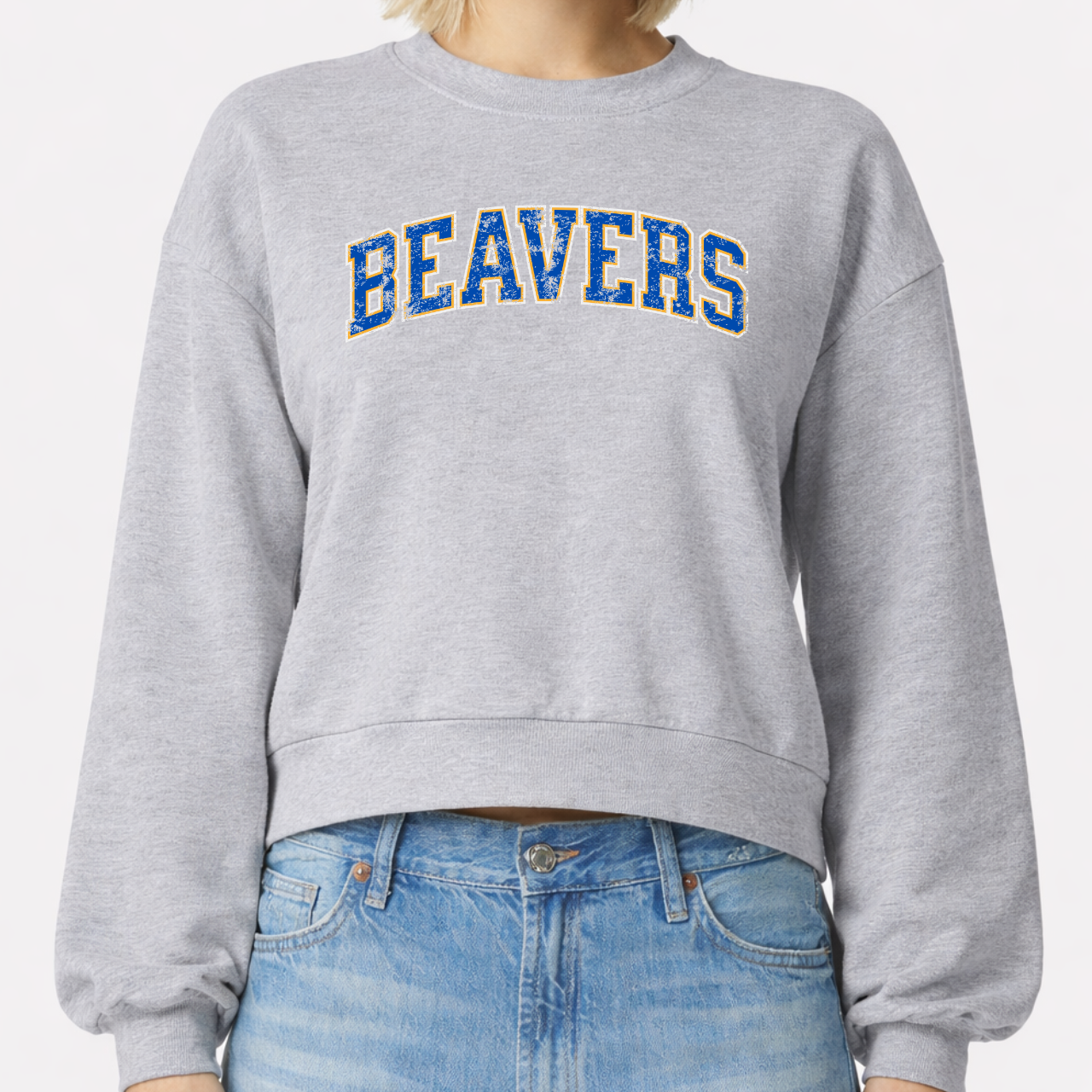 Wilton Beavers Vintage Arch Crop Crewneck